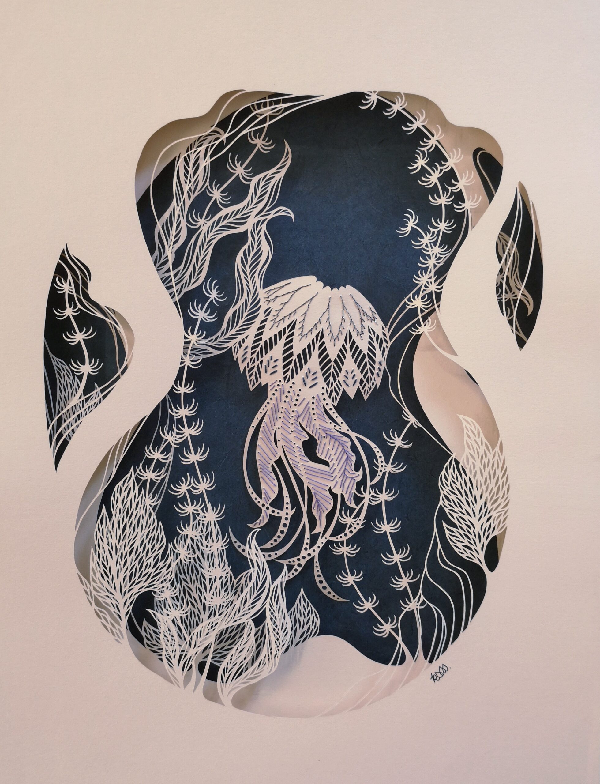 Jellyfish